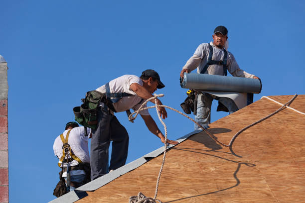 Best Roof Inspection Near Me  in Downs, IL