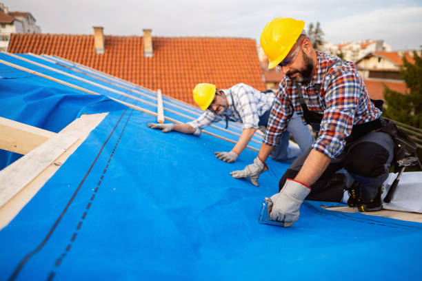 Best Commercial Roofing Services  in Downs, IL